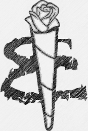 & logo