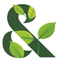 & logo