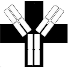 + logo