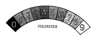 0 1 2 3 4 5 6 7 8 9 COLORSIZE logo
