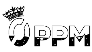 0 PPM logo