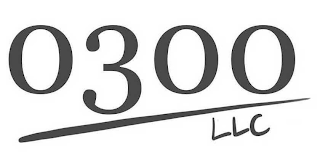 0300 LLC logo