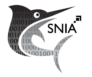 1 0 SNIA logo