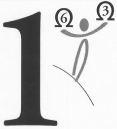 1 6 3 logo