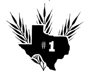 #1 logo