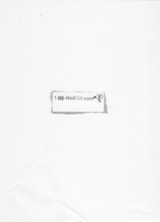 1-888-WELLGIFT.COM logo
