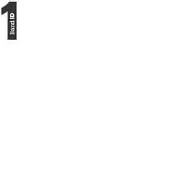 1 BAND ID logo
