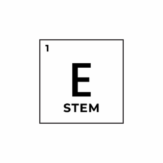 1 E STEM logo