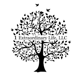 1 EXTRAORDINARY LIFE, LLC logo