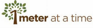 1 METER AT A TIME logo
