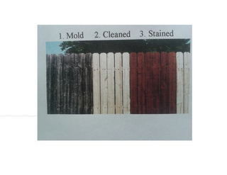 1. MOLD 2. CLEANED 3. STAINED logo