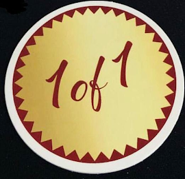 1 OF 1 logo