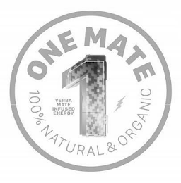 1 ONE MATE 100% NATURAL & ORGANIC YERBA MATE INFUSED ENERGY logo