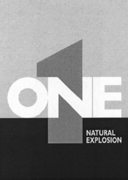 1 ONE NATURAL EXPLOSION logo