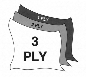 1 PLY 2 PLY 3 PLY logo