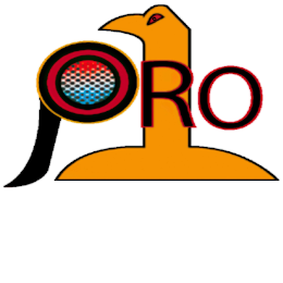 1 PRO logo