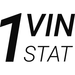 1 VIN STAT logo