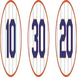 10 30 20 logo