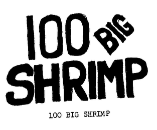 100 BIG SHRIMP 100 BIG SHRIMP logo