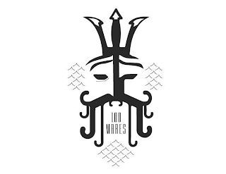 100 MARES logo