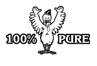 100% PURE logo