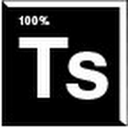 100% TS logo