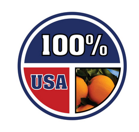 100% USA logo