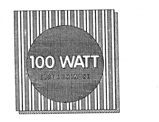 100 WATT IDEE LUMINOSE logo