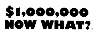 $1,000,000 NOW WHAT? logo