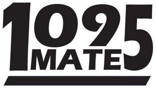 1095 MATE logo