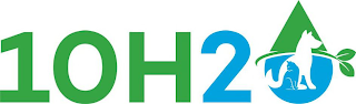 10H2O logo