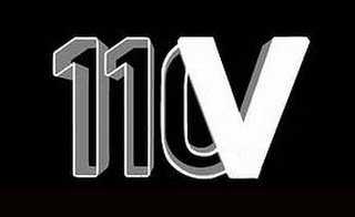 110V logo