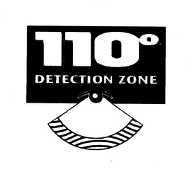 110º DETECTION ZONE logo