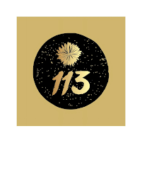 113 logo