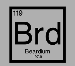 119 BRD BEARDIUM 197.9 logo
