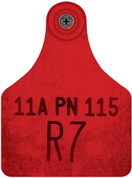 11A PN 115 R7 logo