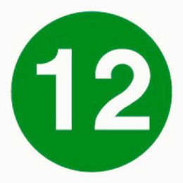 12 logo