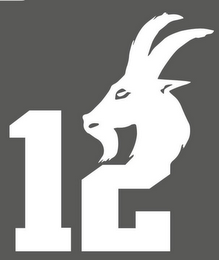 12 logo