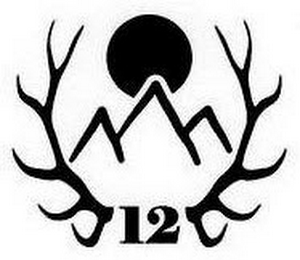 12 logo