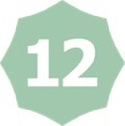 12 logo
