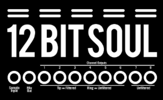 12 BIT SOUL CHANNEL OUTPUTS 1 2 3 4 5 6 7 8 SAMPLE INPUT MIX OUT TIP = FILTERED RING = UNFILTERED UNFILTERED logo