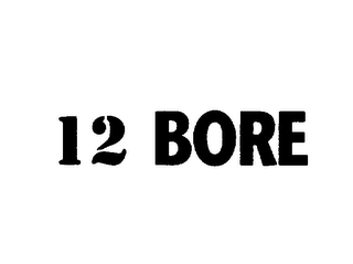12 BORE logo