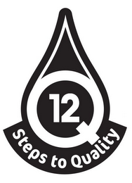 12 Q STEPS TO QUALITY logo