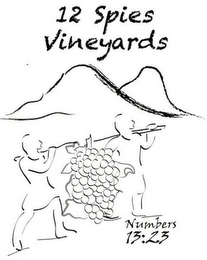 12 SPIES VINEYARDS NUMBERS 13:23 logo