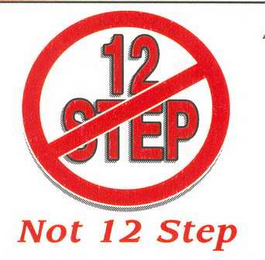 12 STEP NOT 12 STEP logo