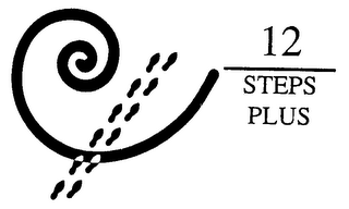 12 STEPS PLUS logo