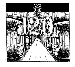 120 logo