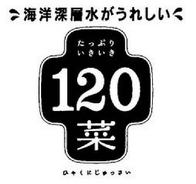 120 logo