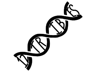 12TRIBES logo