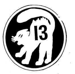 13 logo